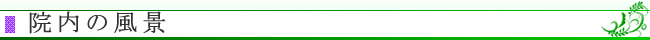 院内の風景