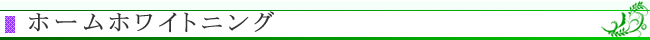 ほーむホワイトニング